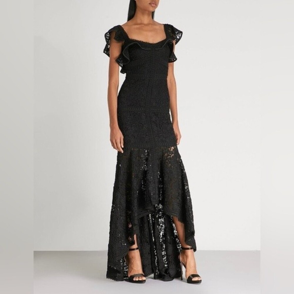 ALEXIS Zander Embroidered-Lace Black Gown Size S